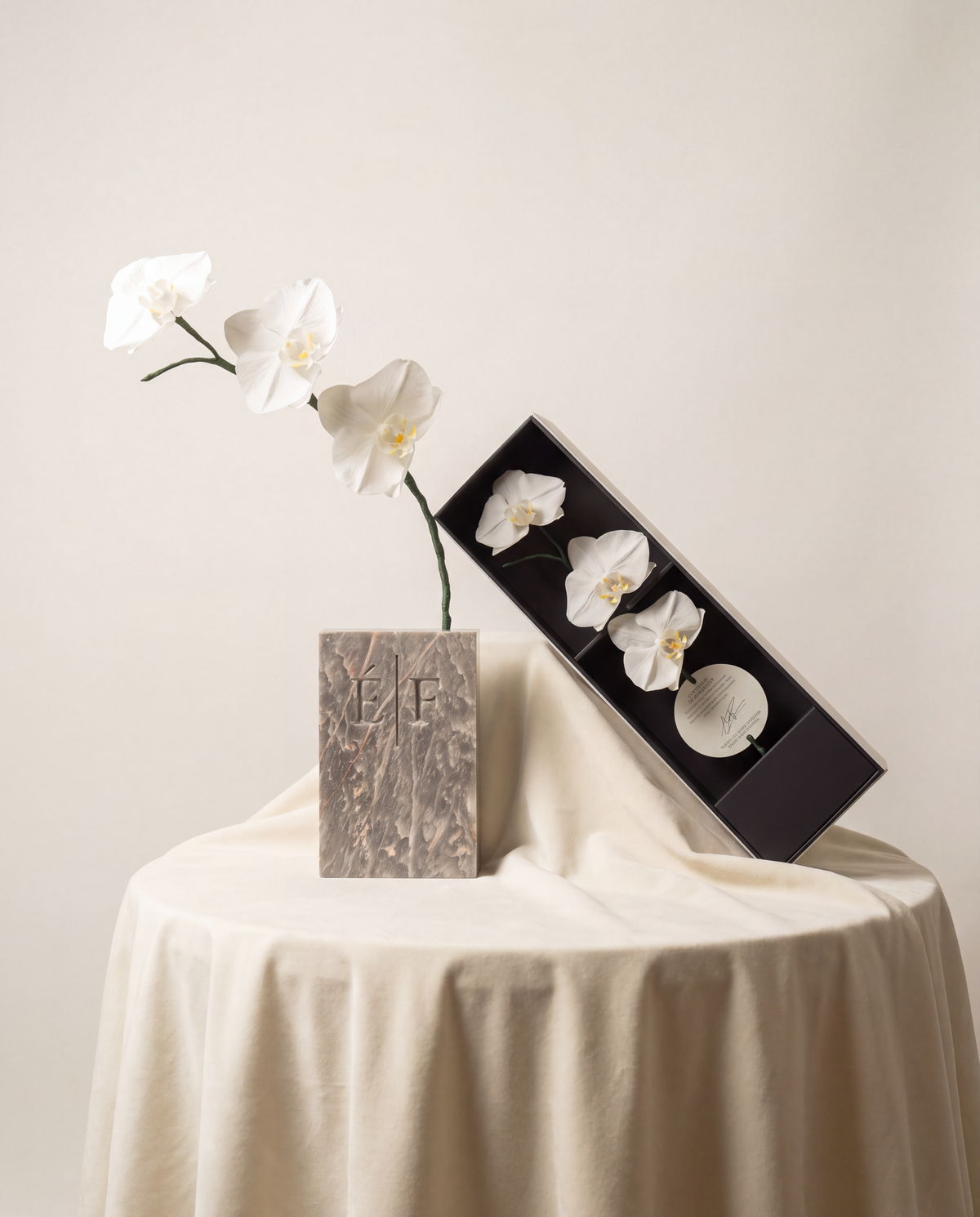 SIGNATURE FLOWER Orchids — ICHIRINZASHI