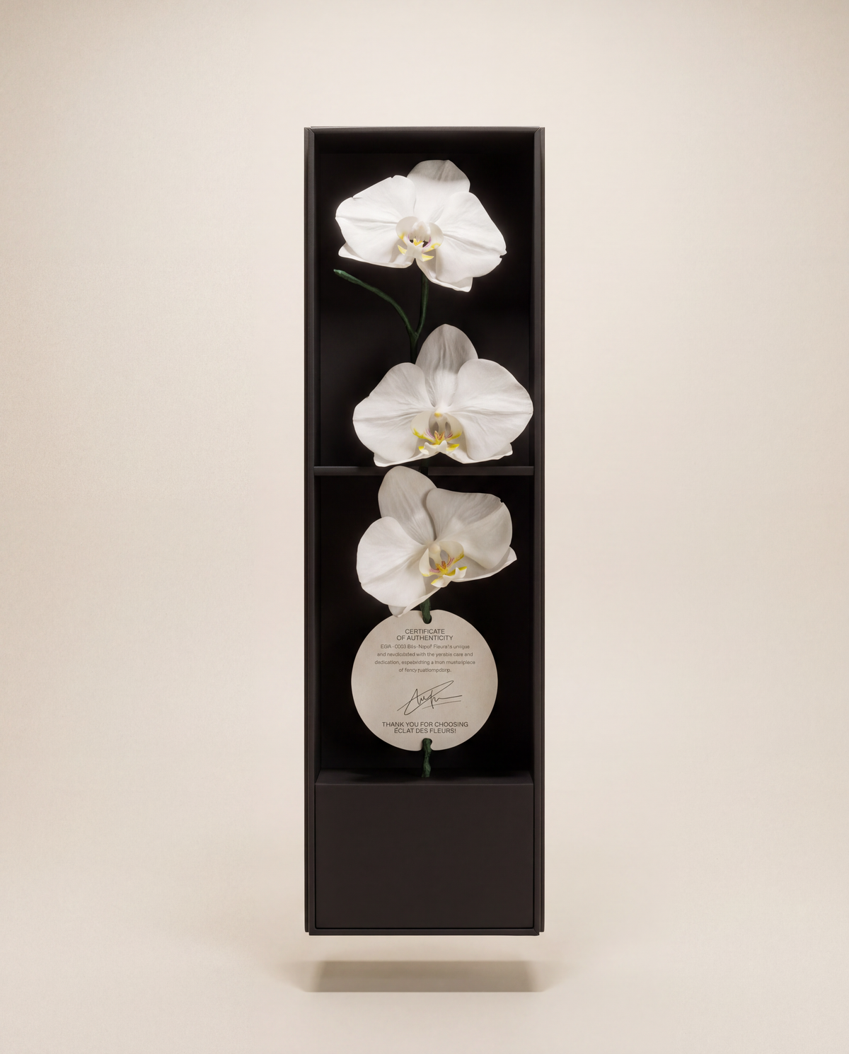 SIGNATURE FLOWER Orchids — ICHIRINZASHI
