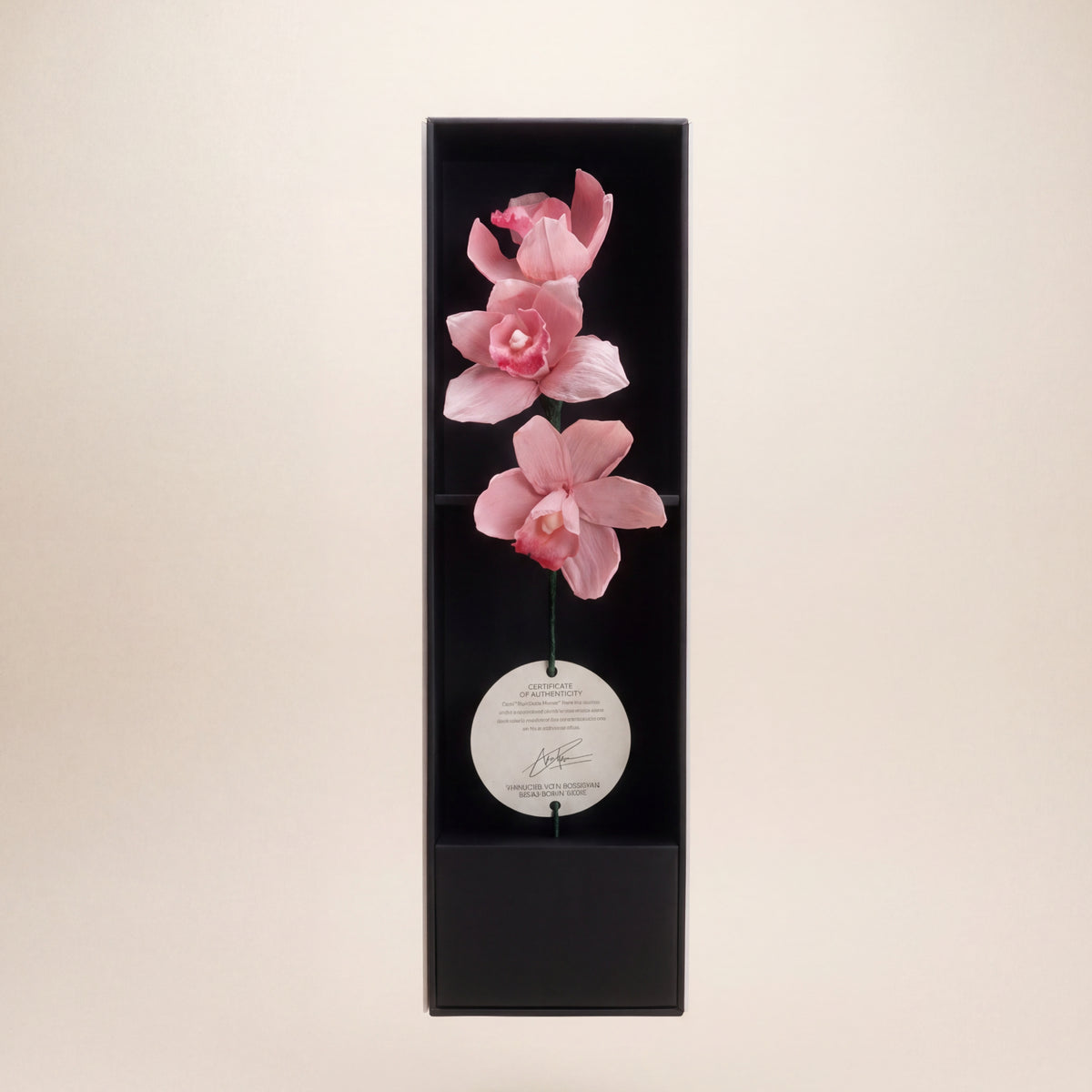 SIGNATURE FLOWER Orchids — ICHIRINZASHI