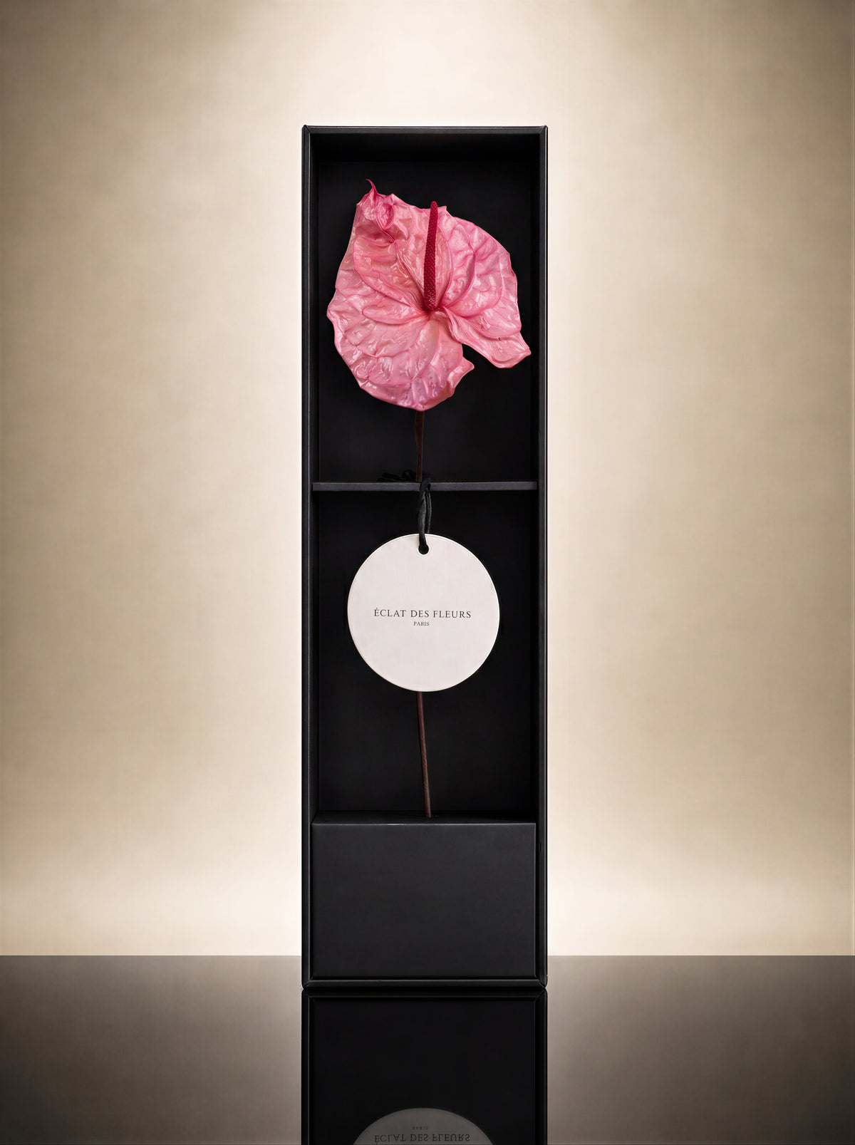 SIGNATURE FLOWER — ICHIRINZASHI