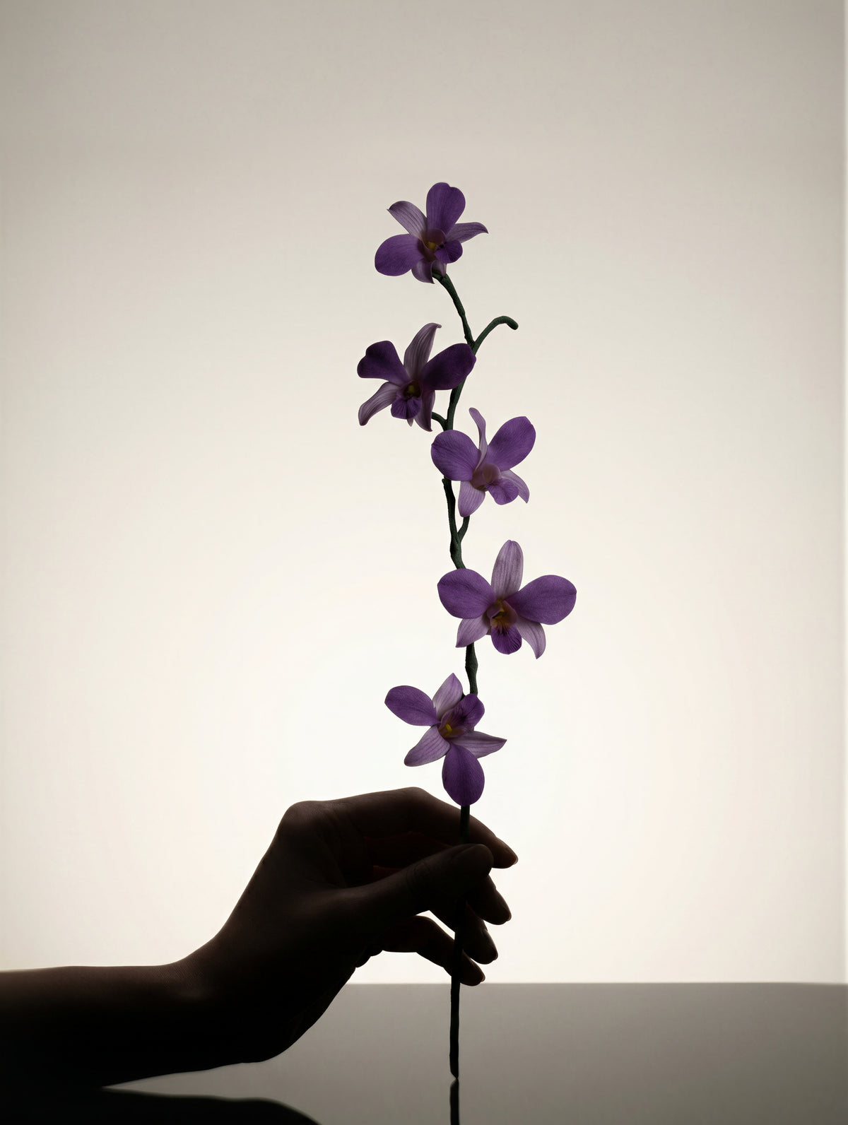COUTURE COLLECTION — DENFARE ORCHID