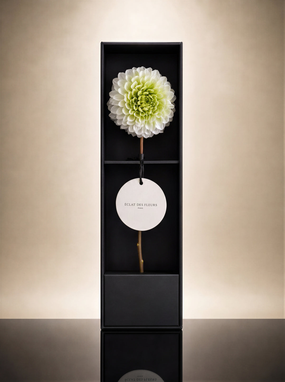 SIGNATURE FLOWER — ICHIRINZASHI