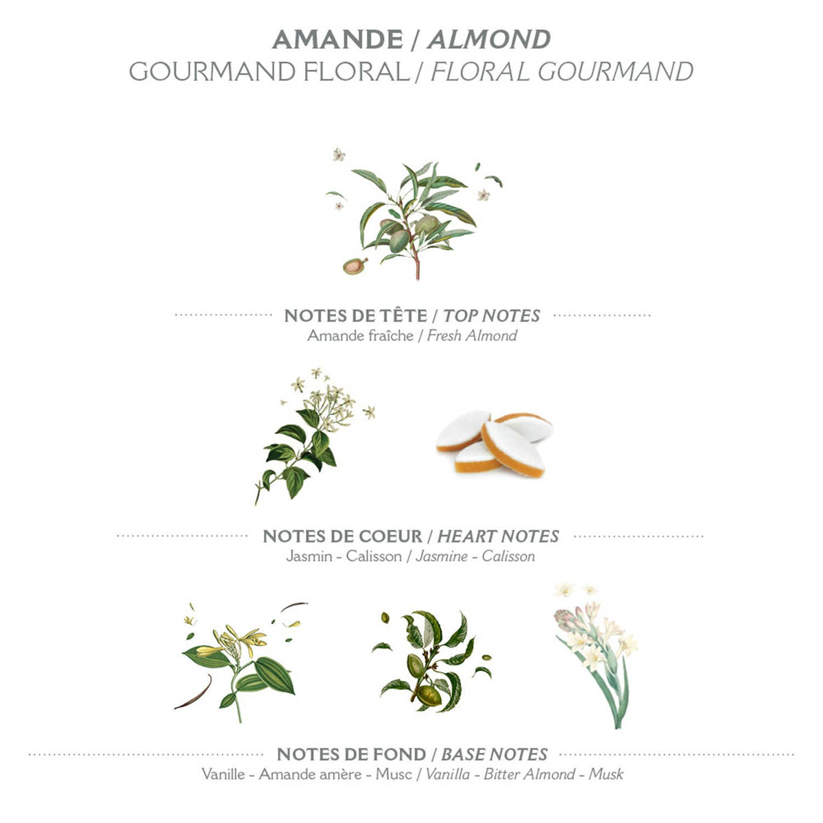 Olio doccia 200 ml | Mandorla
