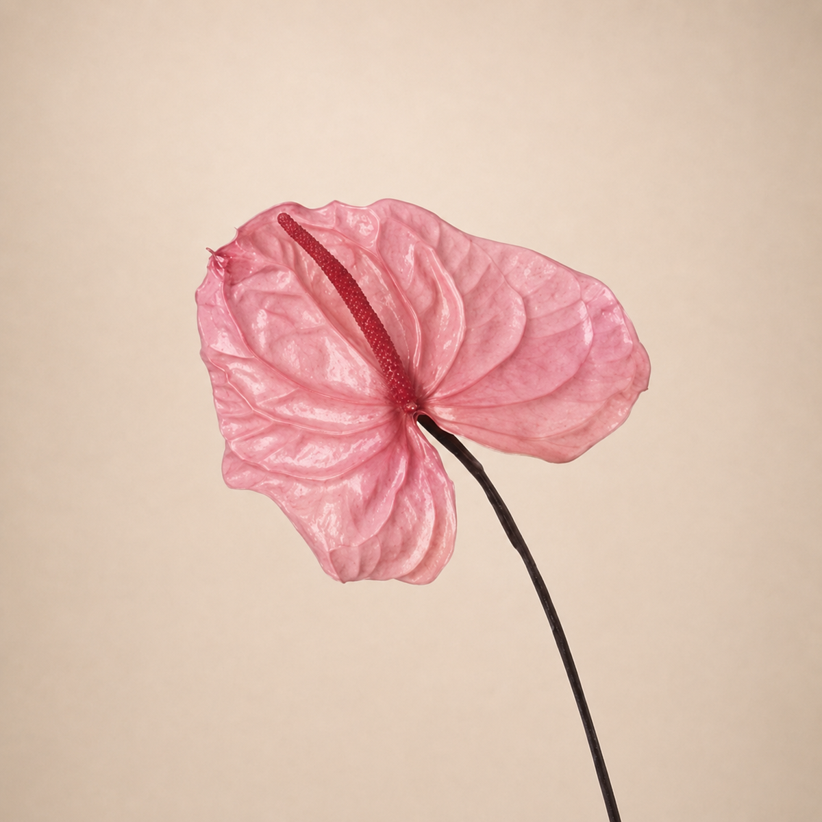 Signature Flower
