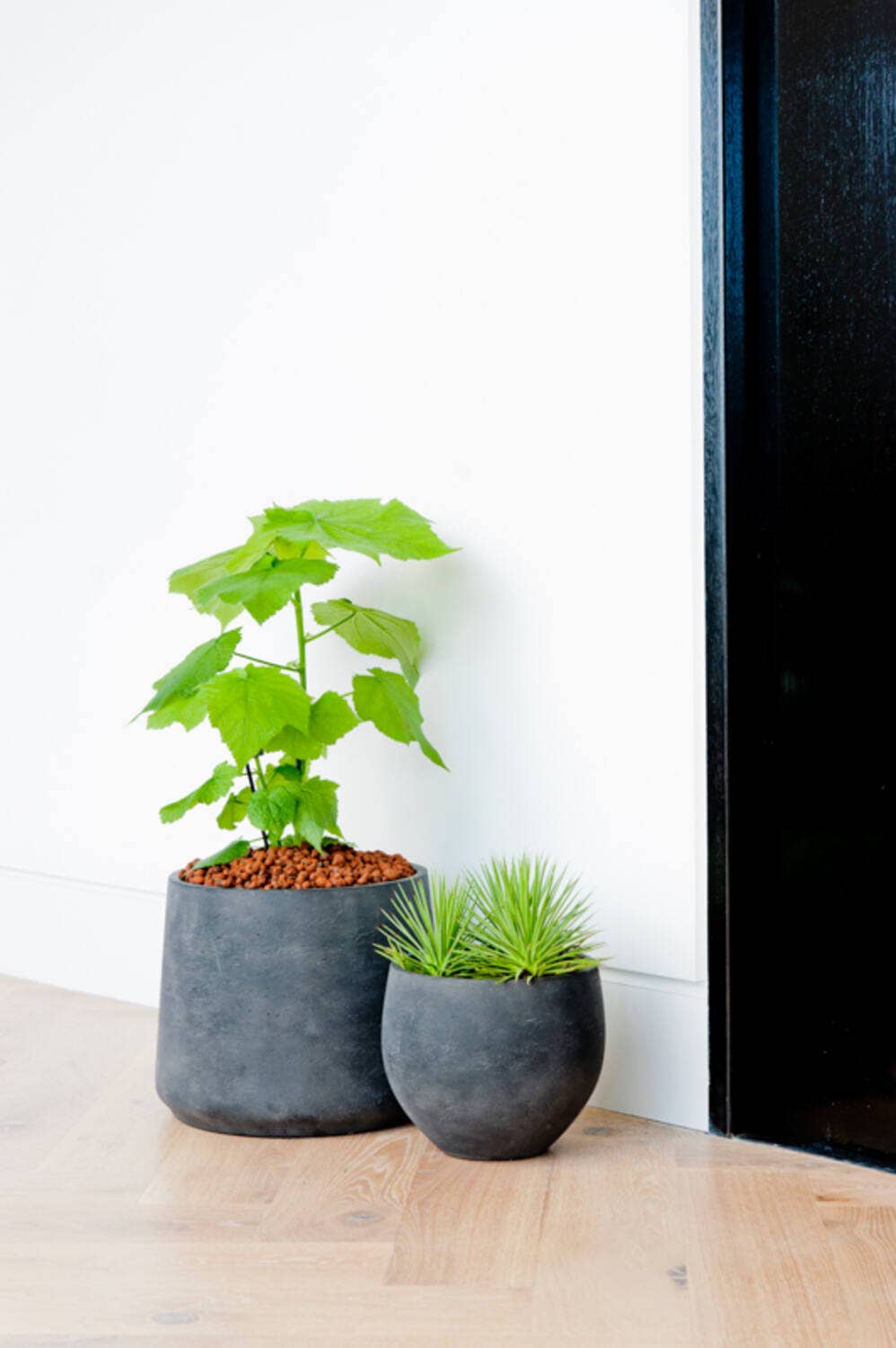 Vaso Patt XXXL nero lavato - Ø45 × H38 cm