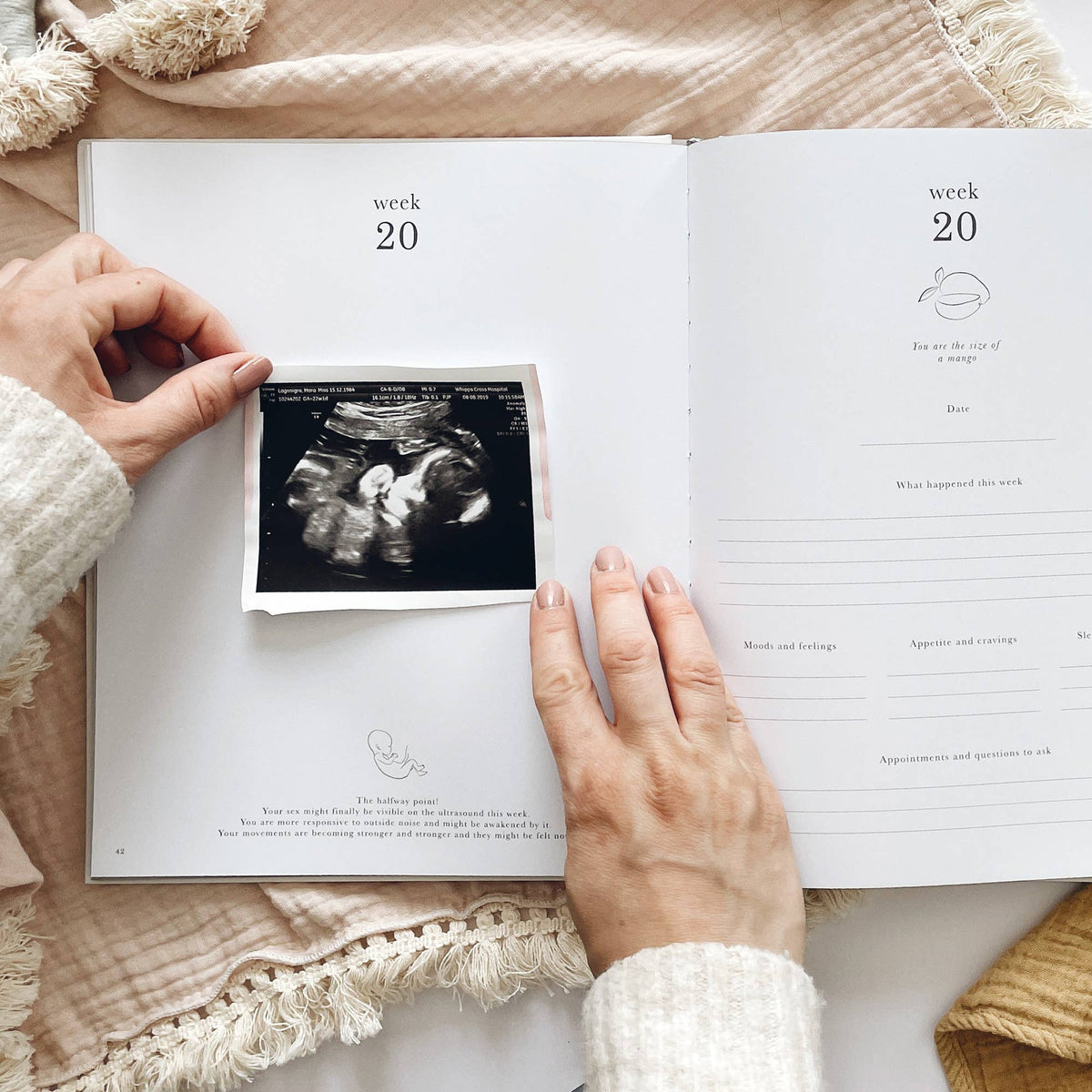Diario della gravidanza (animali) per future mamme e genitori