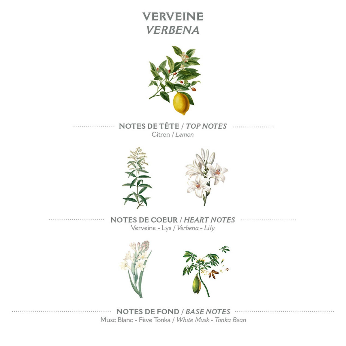 Sapone vegetale 150g | Verbena
