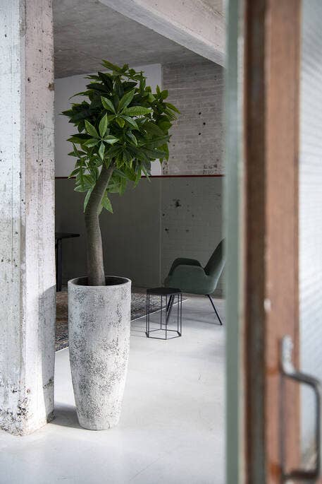 Vaso Dax M Imperial White - Ø24 × H60 cm