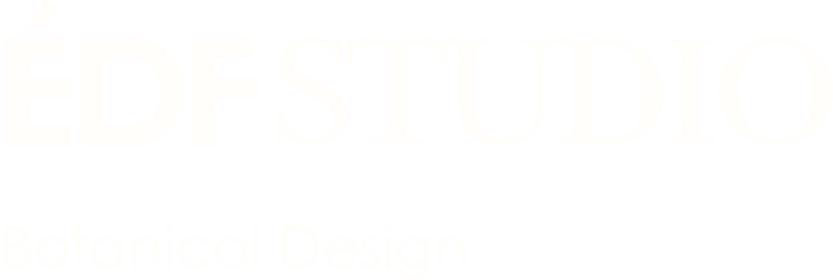 EDF STUDIO